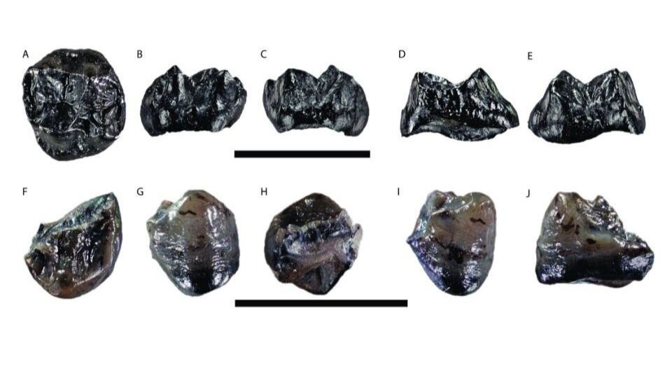   Madelaine Böhme et al. / PLoS One, 2024