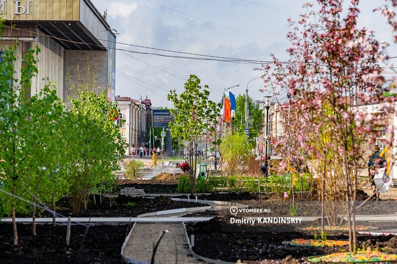 Укладка томск. Укладка томск. Укладка томск. Укладка томск. Укладка томск.