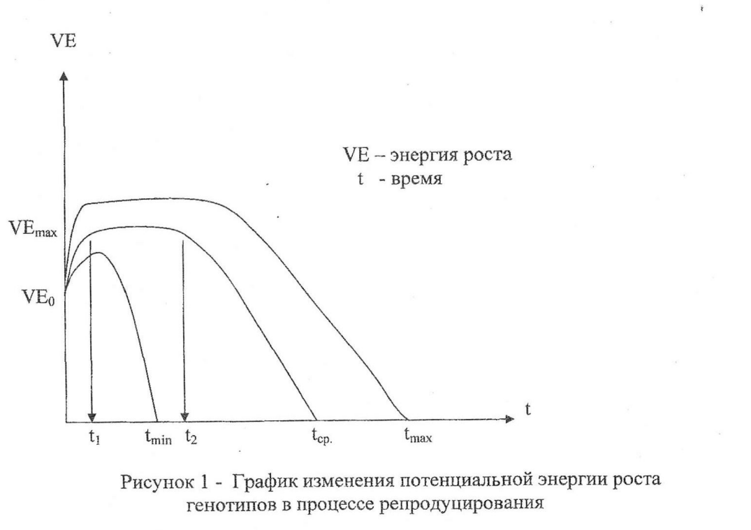 Иллюстрация из диссертации доктора наук Усков Александр Иринархович БИОТЕХНОЛОГИЧЕСКИЕ ОСНОВЫ ПОВЫШЕНИЯ
ЭФФЕКТИВНОСТИ ВОСПРОИЗВОДСТВА ИСХОДНОГО
МАТЕРИАЛА В ОРИГИНАЛЬНОМ СЕМЕНОВОДСТВЕ КАРТОФЕЛЯ

