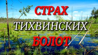 СТРАХ ТИХВИНСКИХ БОЛОТ!!! Страшные болота России!!! #болото