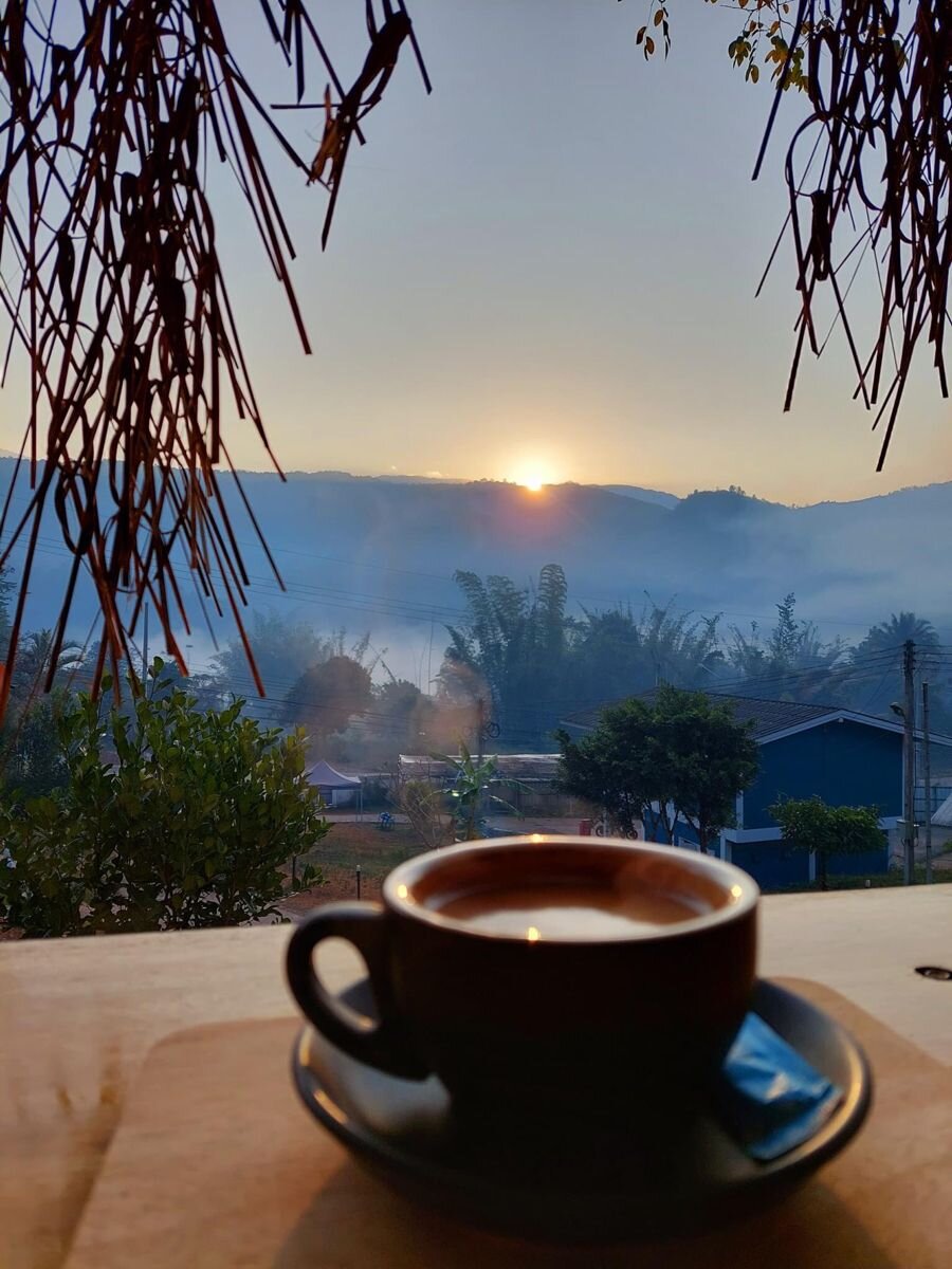 Яндекс. Открытый источник 