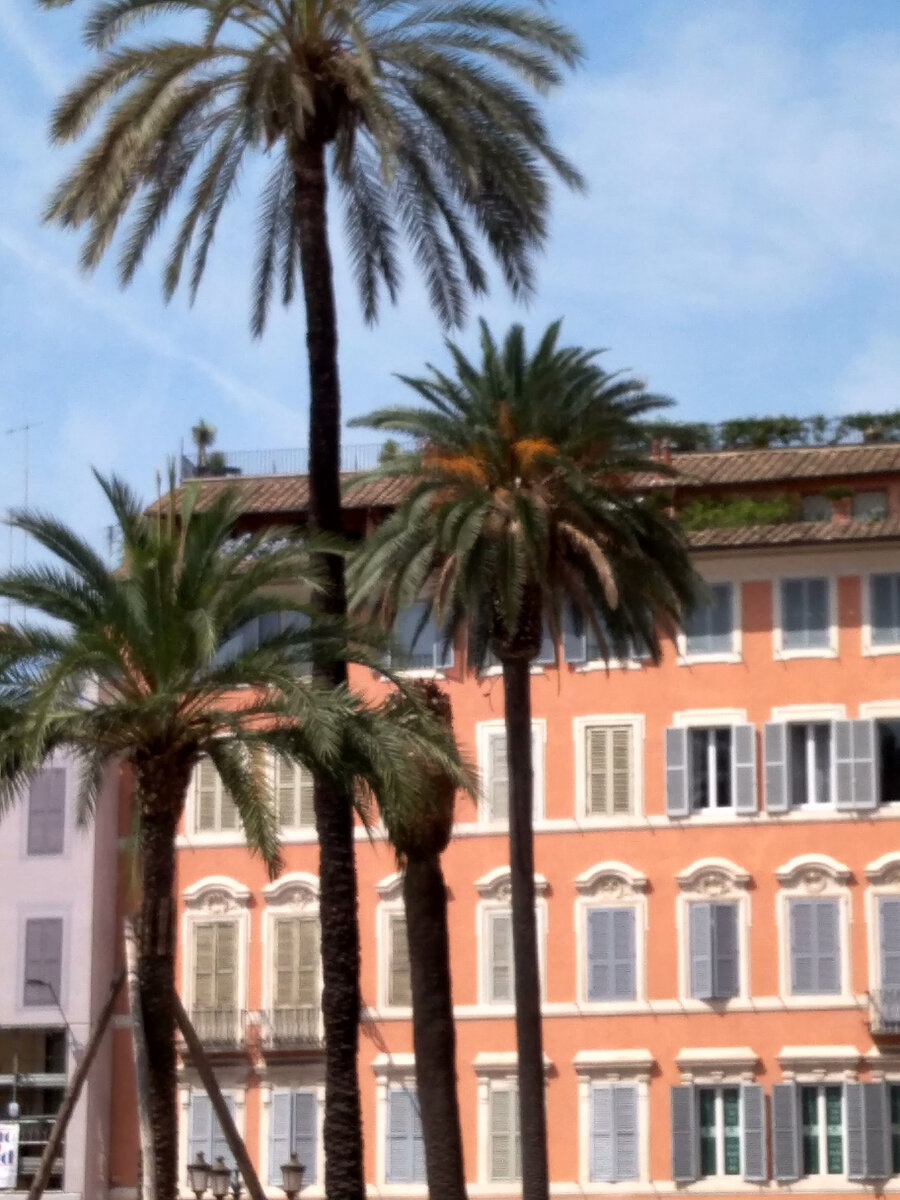 Сад на крыше дома