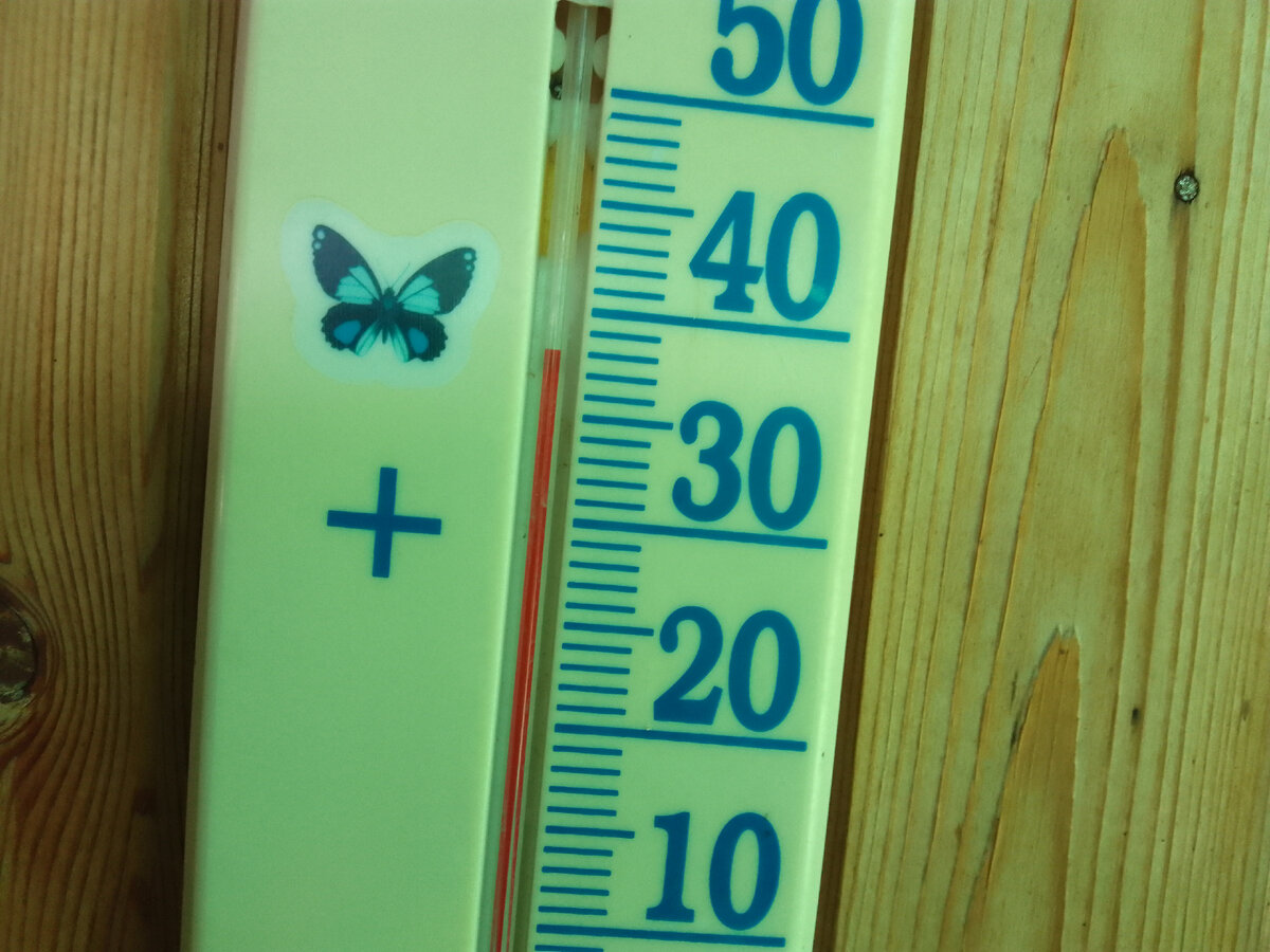 Что нам снег, что нам зной...