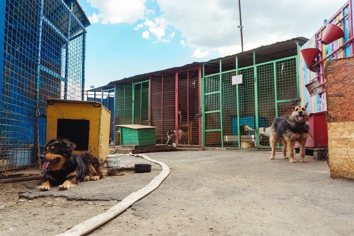  Единственная радость, неужели мы и ее отберём?