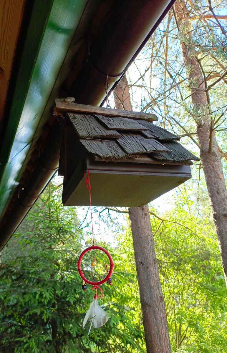 Дело рук мужа