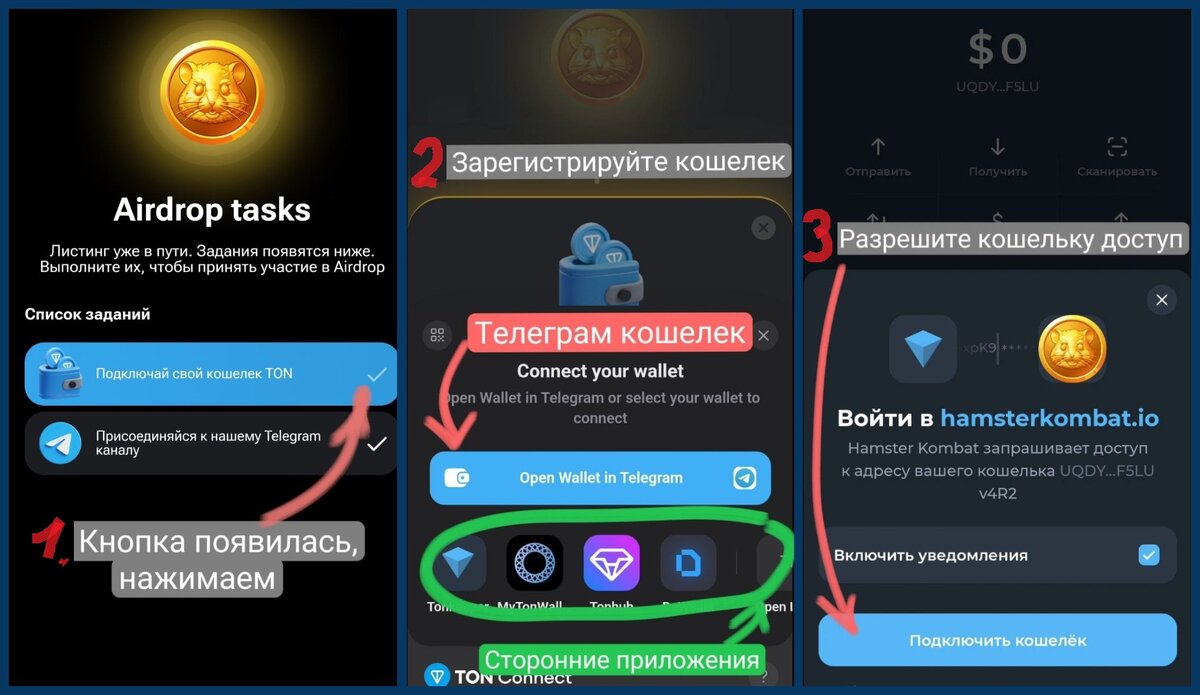 Как вывести деньги из хомяка в telegram