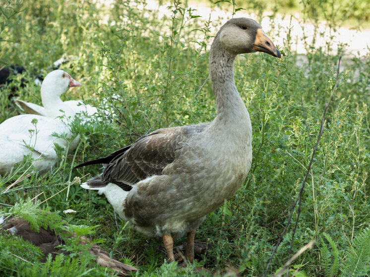     Изображение от freepik