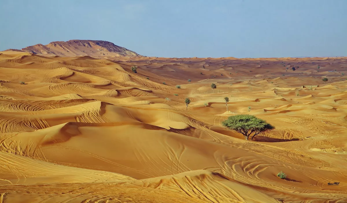 Где-то в пустыне Руб-эль-Хали