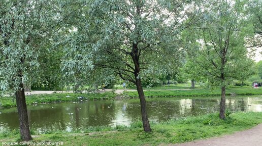 Парк Куракина Дача - островок природы с прудом