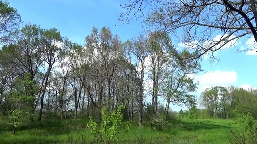 Фото и видео в г. Вязники.