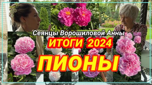 Цветение сеянцев пионов Ворошиловой. Итоги 2024 года! / Сад Ворошиловой