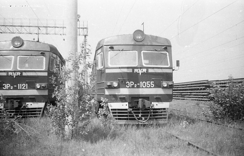 Фото Андрей Брахнин ZOV