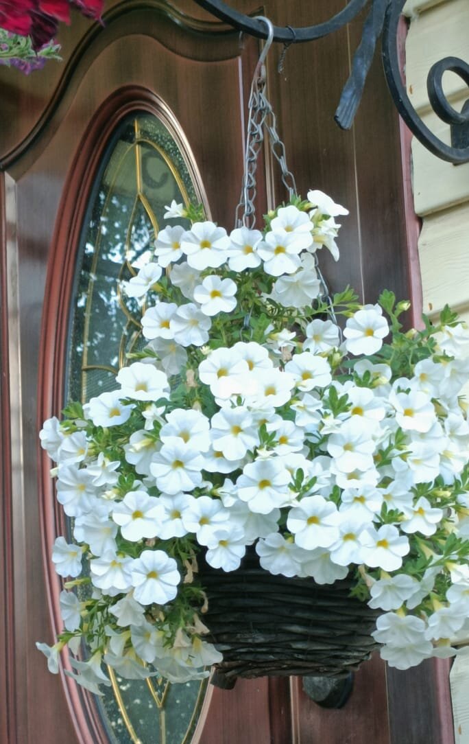 Моя калибрашка)