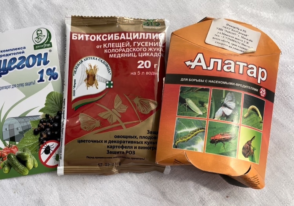 Препараты от вредителей 
