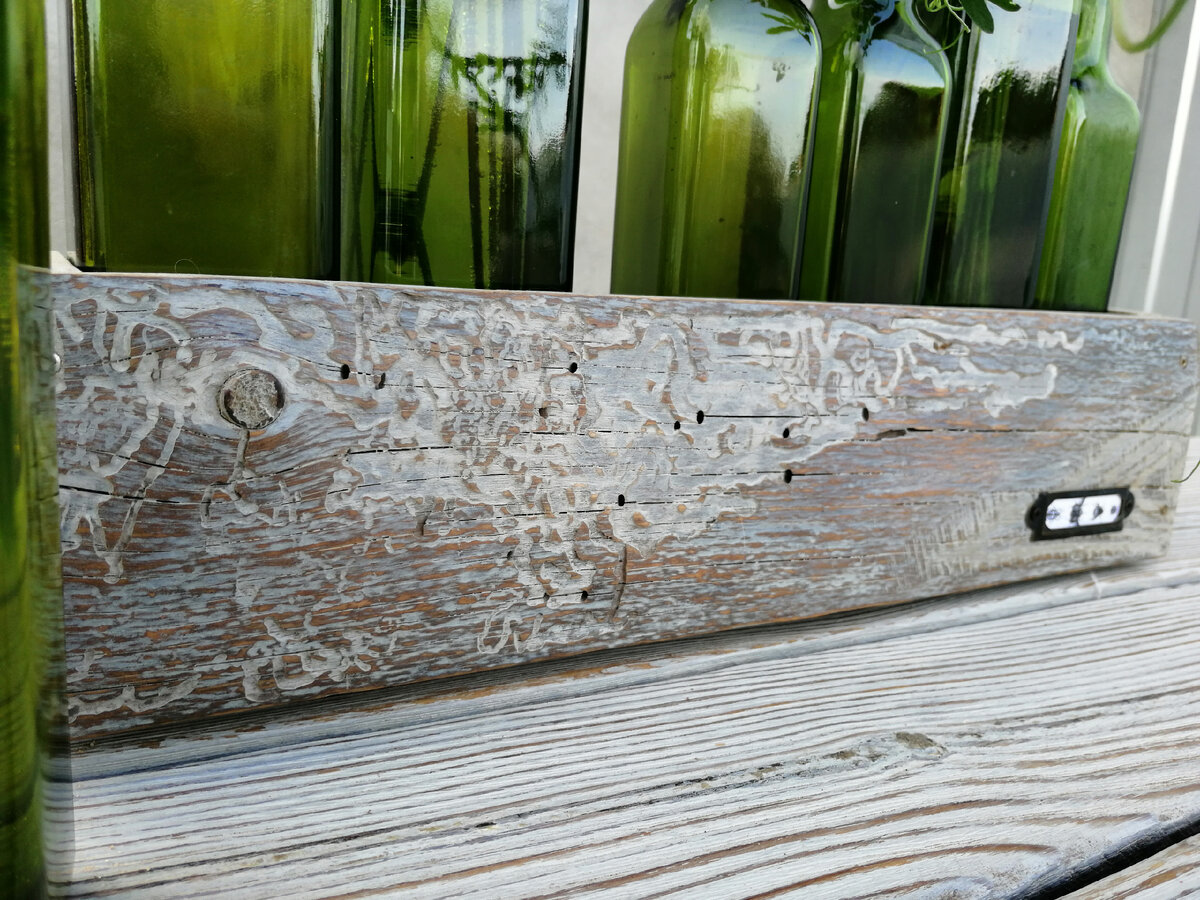Доска из изъеденной короедом древесины. 2024