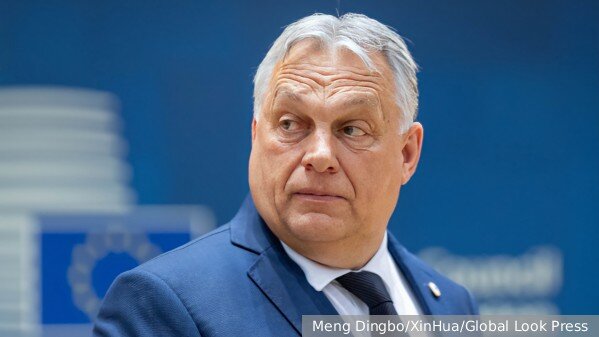     Фото: Meng Dingbo/XinHua/Global Look Press   
 Текст: Елизавета Шишкова