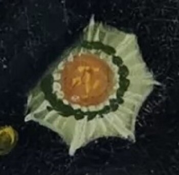 -2-2