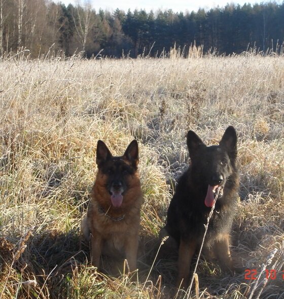 Мои любимые Юго и Емельян