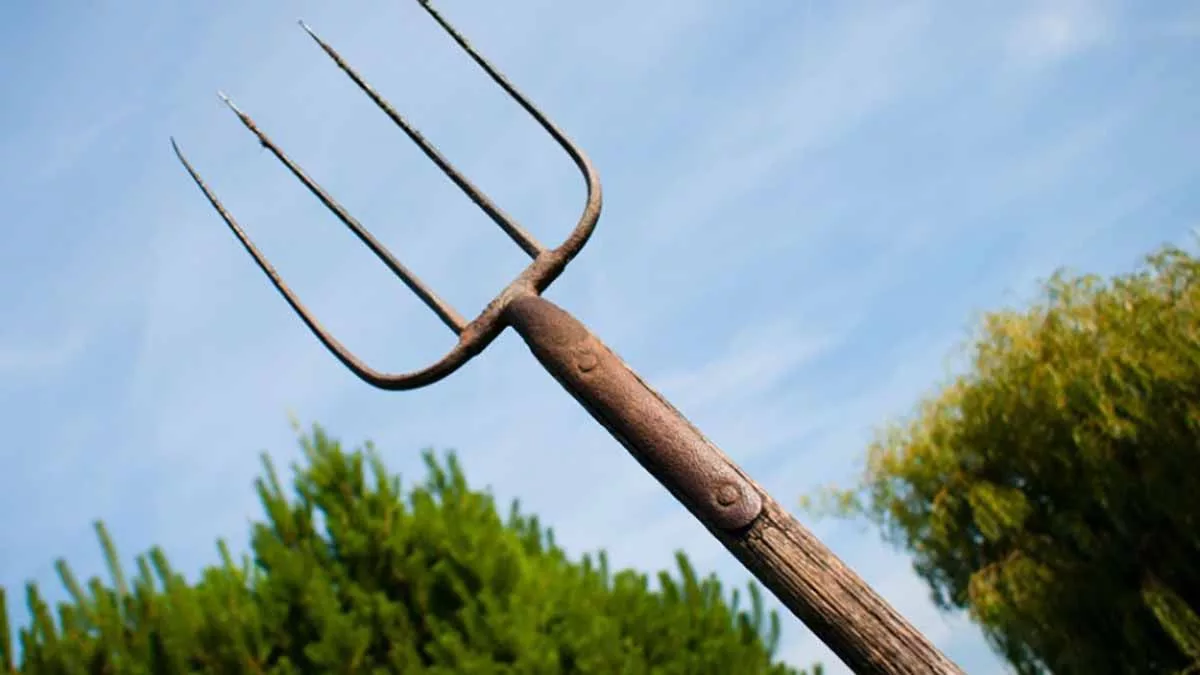 Изображение взято из открытых источников