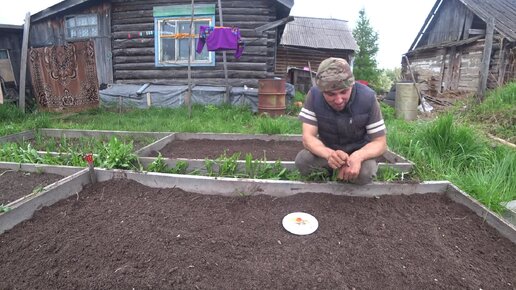 ОГОРОДНЫЕ ХЛОПОТЫ, ПРОСТАЯ ДЕРЕВЕНСКАЯ ЖИЗНЬ.