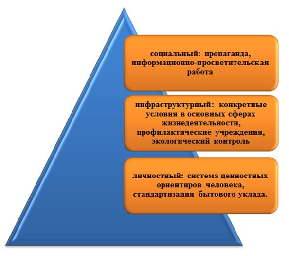  Здоровый образ жизни — это индивидуальная система поведения человека, обеспечивающая ему физическое, душевное и социальное благополучие в реальной окружающей среде (природной, техногенной и...-2