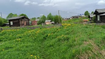 Пока нет дождя быстро сходил к реке. Первый дальний поход Ланы. 9 июня 2024 г