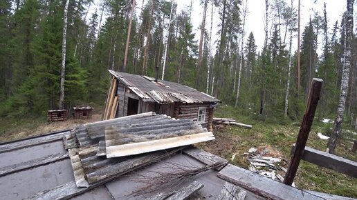 Ремонтирую таёжную беседку Новый рубероид меня расстроил Сегодня на ужин будет уха из Сайры 5 серия.