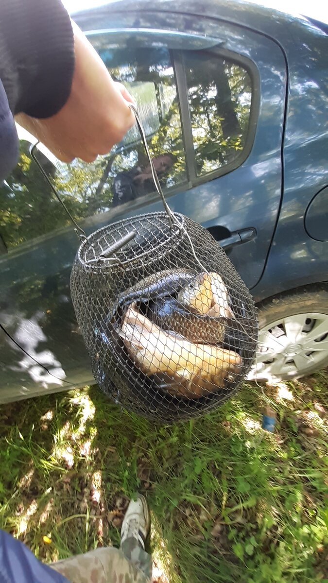 Удачный был клев))