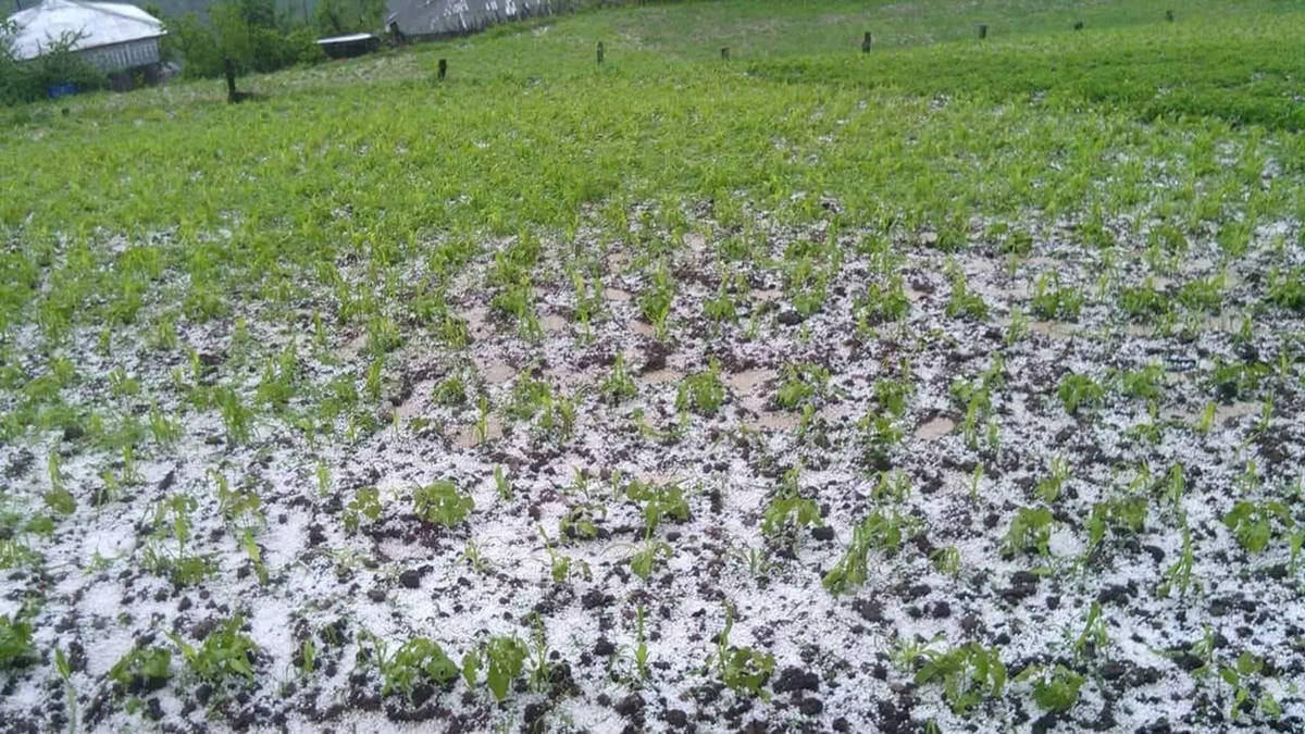 © courtesy of Village Chikaani