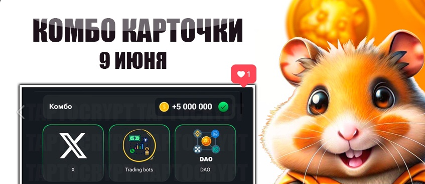 Комбо карты hamster kombat 08.07