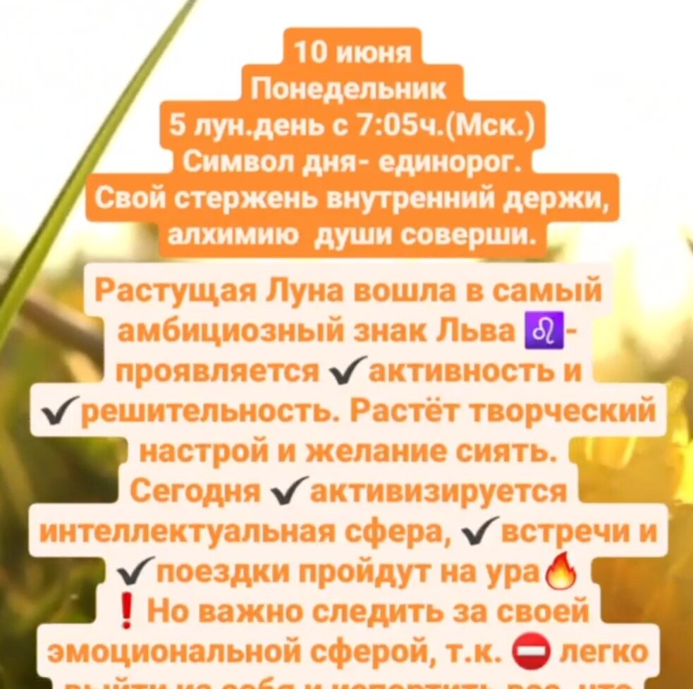 Гороскоп на 10 июня, понедельник | АстроРоза | Дзен