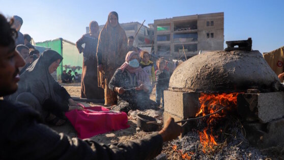    В FAO заявили об угрозе масштабного голода в секторе Газа Богдан Герцен