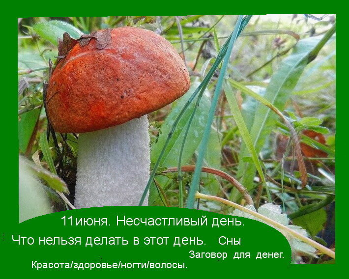 Источник: Яндекс  картинки.