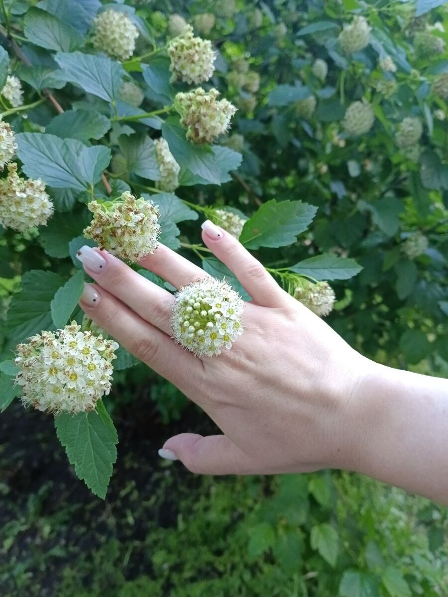 Вчера нюхали много красивого