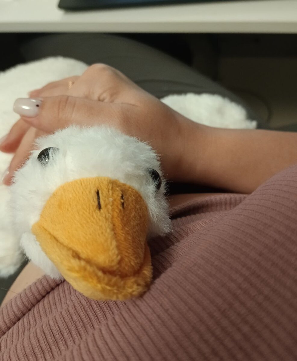 Гусь-за-попу-кусь