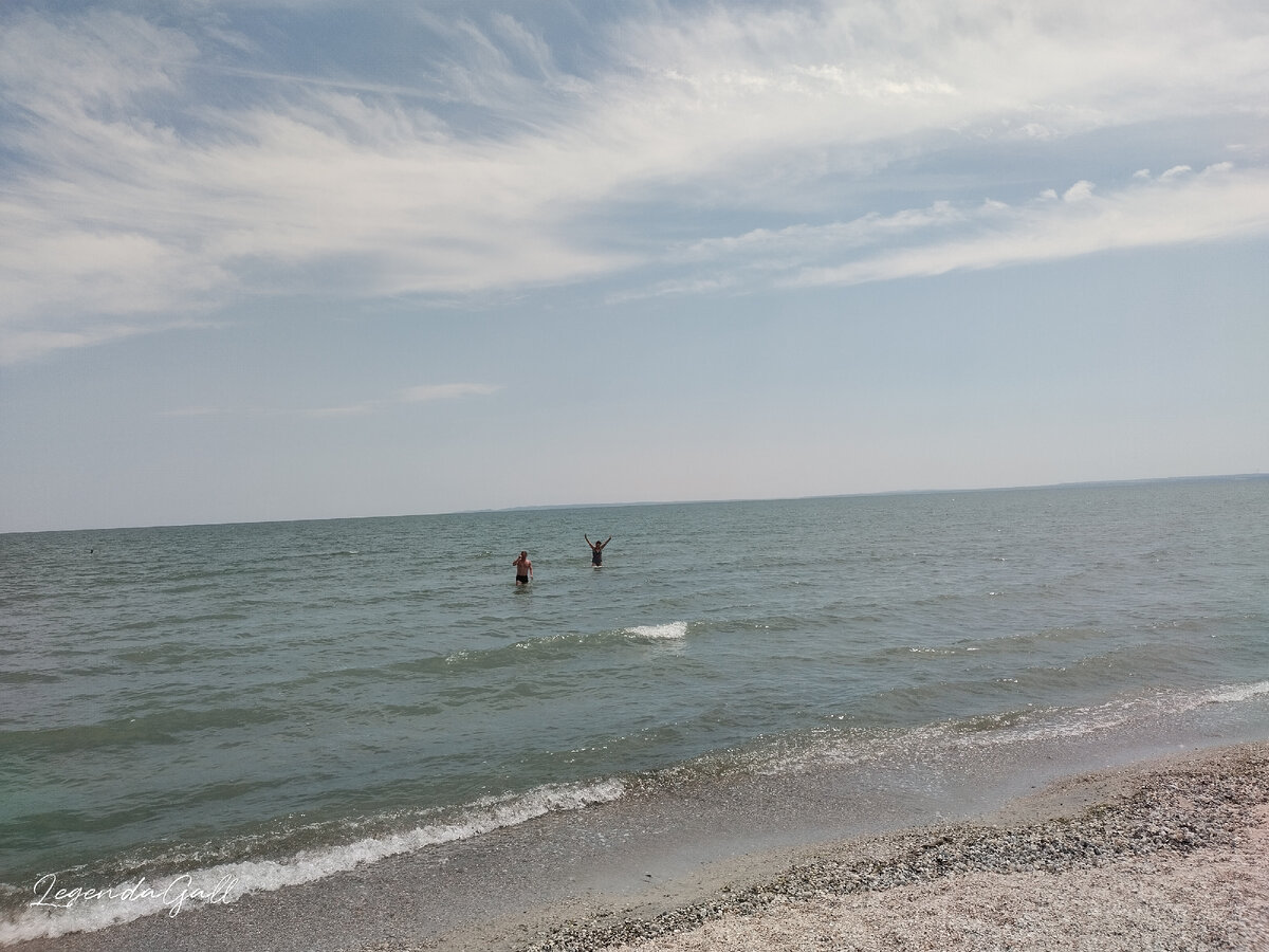 Дневниковое, крымское... Морская вишня, или вишневое море | Этапы большого  пути | Дзен