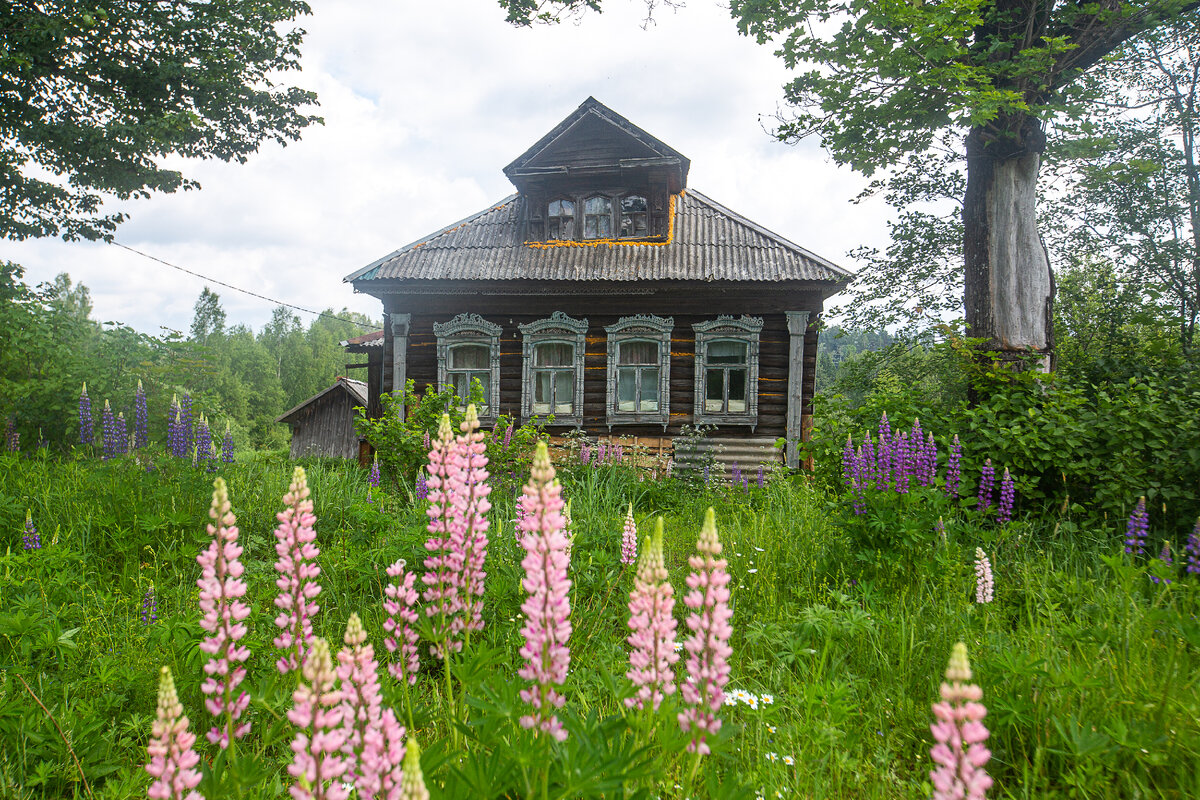 Село Троицкое, Угличский район. Ярославская область. Фото автора статьи  