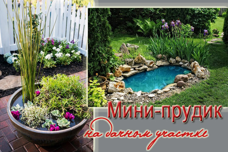 Мини-прудик на дачном участке – эффектный водный объект, который легко ...