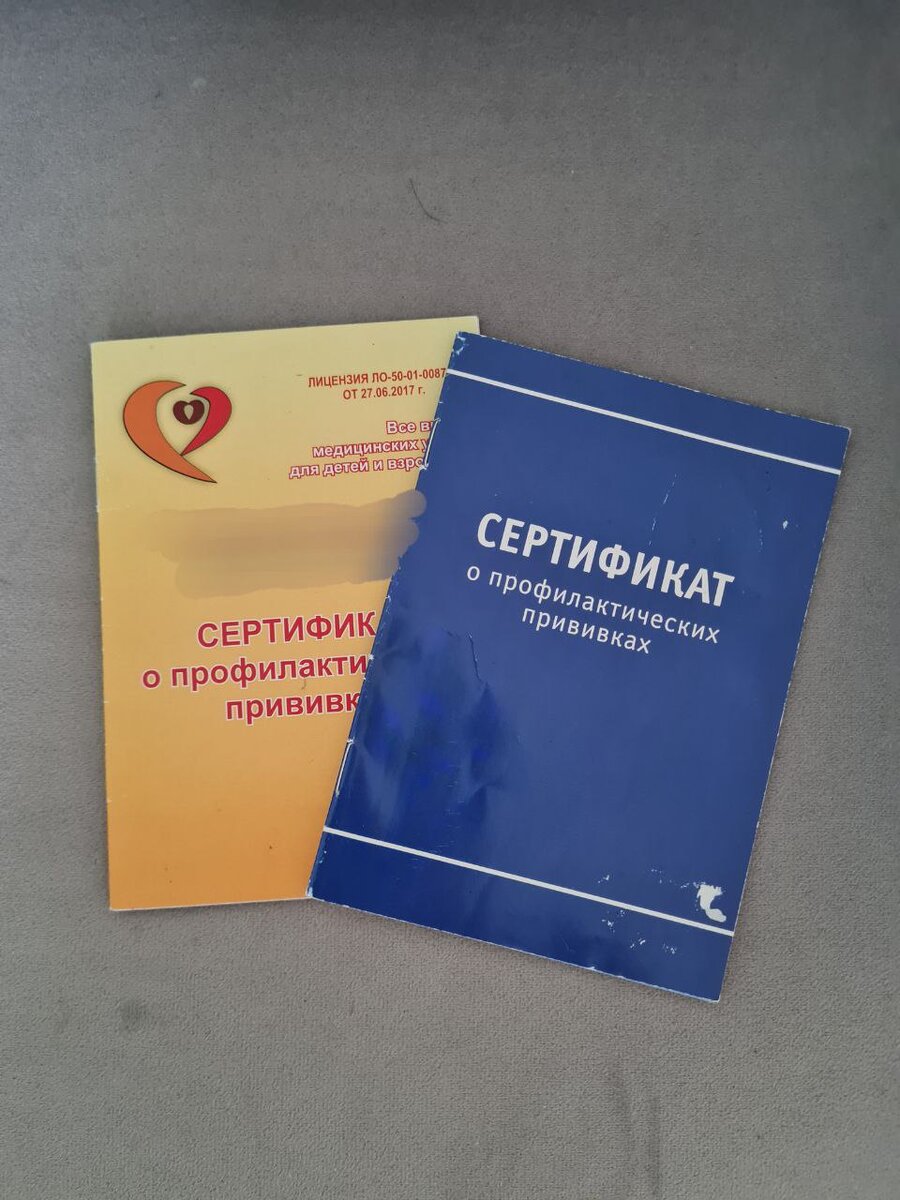 сертификаты моих девчонок