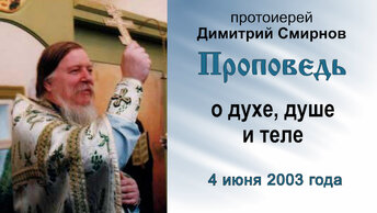 Проповедь о духе, душе и теле (2003.06.04). Протоиерей Димитрий Смирнов