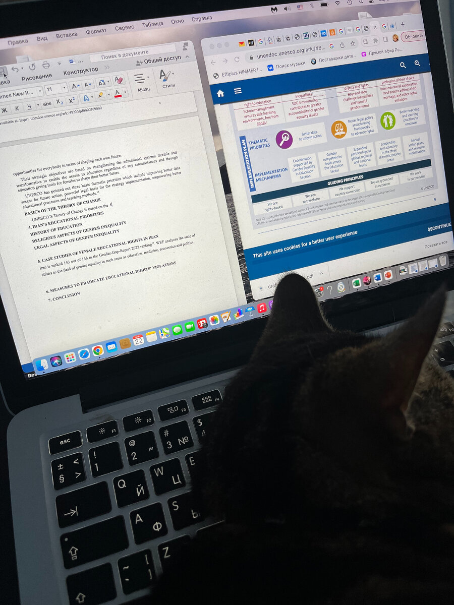 Это мы с Настей в ночах писали выпускную работу для Европейского института исследований политики по правам человека. Я там стажировку недавно прошла.