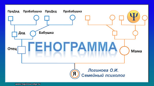 Семейная генограмма. Презентация. Видео: Логинова Ольга, 2024