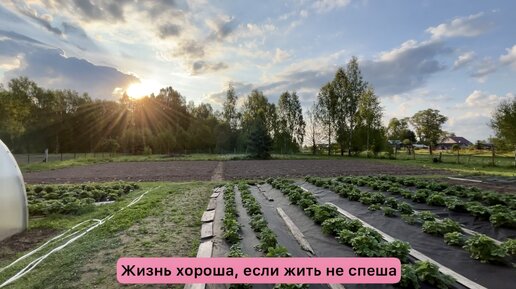 Жизнь хороша, если жить не спеша. Неспешный день с Марсиком и Васей