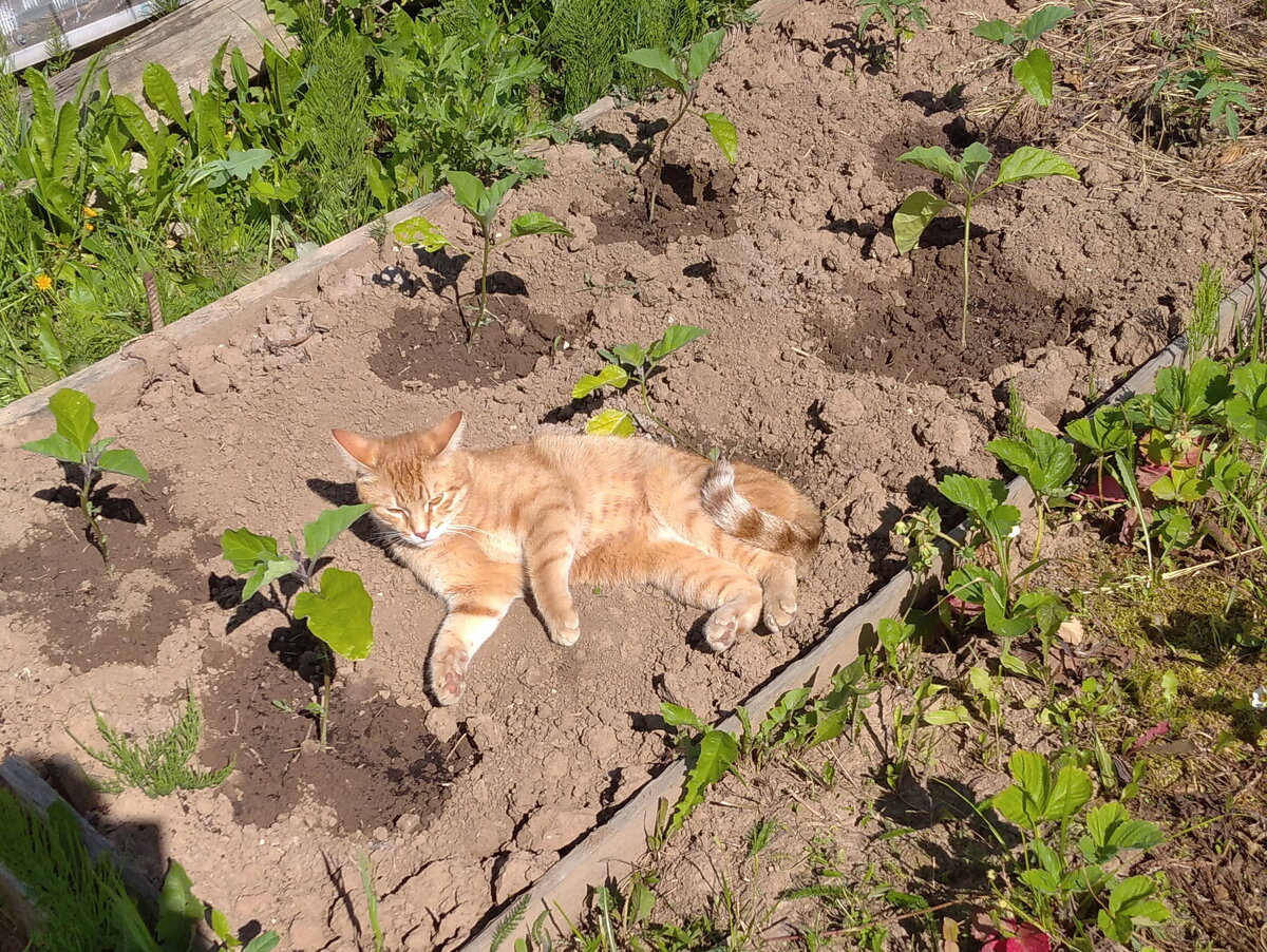 Личное  фото.
