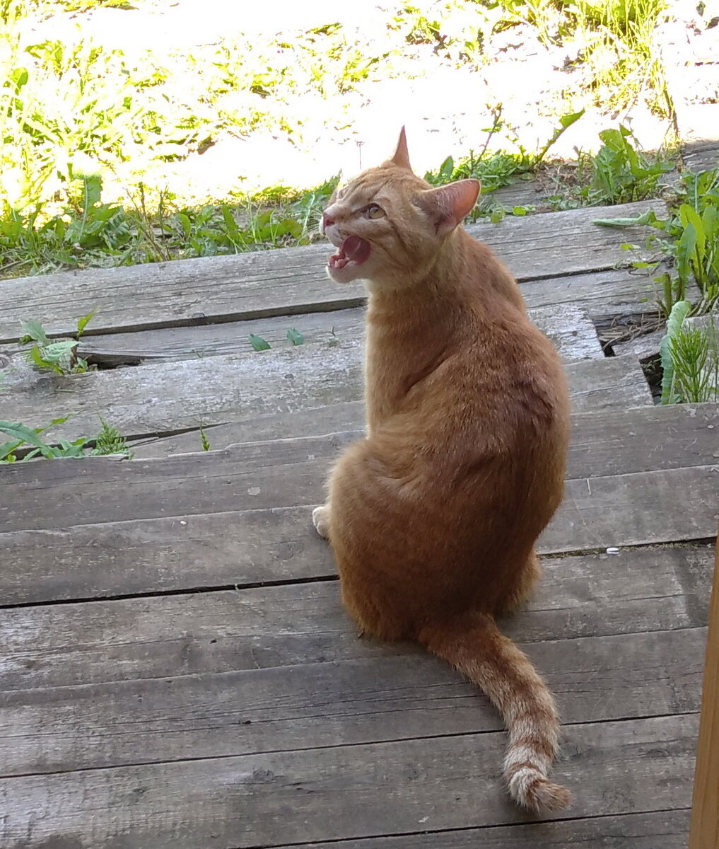 Личное  фото.