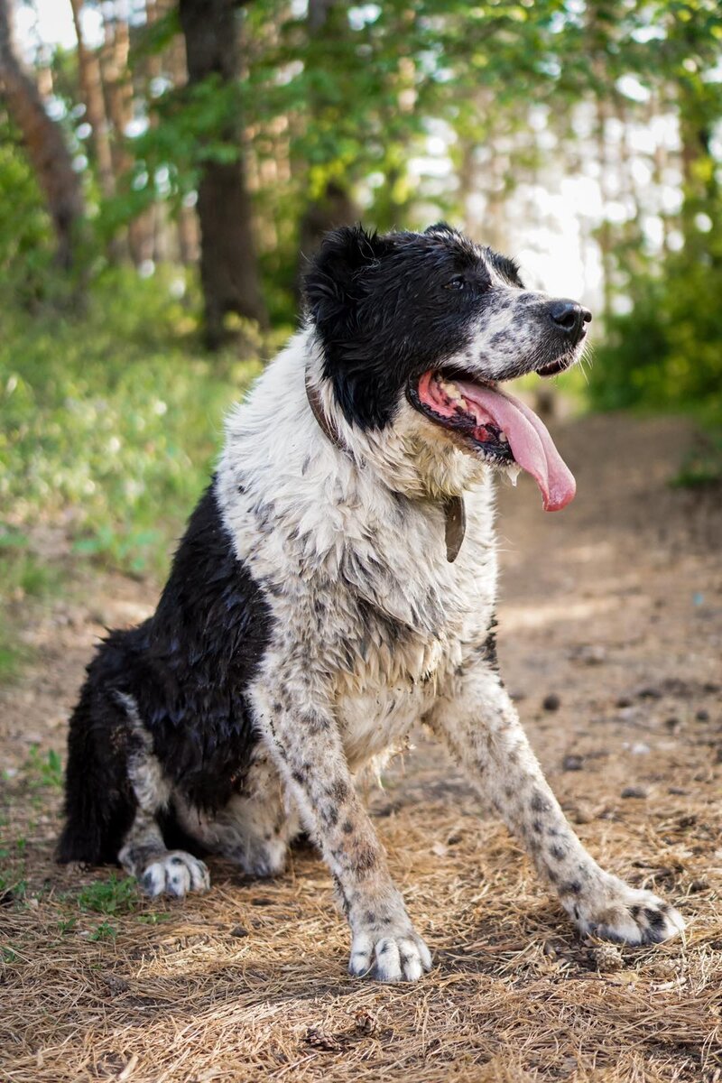 После купания