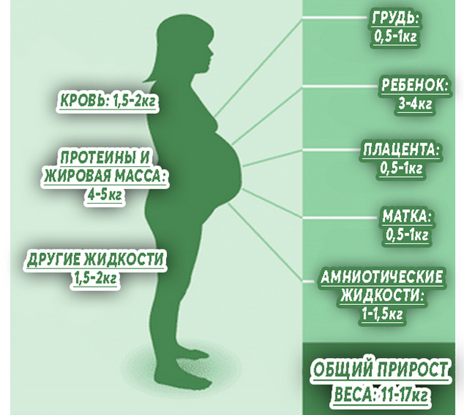 Сколько беременность у женщины. Норма прибавки веса при беременности по неделям 2 триместр. Норма набора веса при беременности по неделям таблица. Набор веса при беременности. Набор веса прибеременностм.