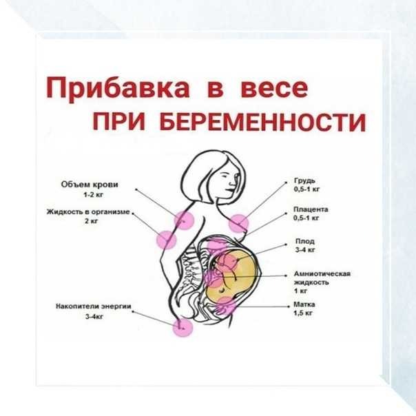 Индекс массы для женщин 60 лет