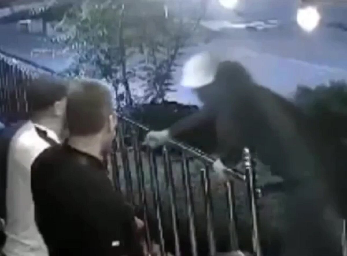 Скрин с видео ГУ МВД по Краснодарскому краю. 