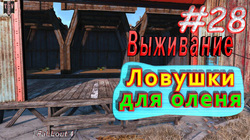 Ловушки для оленя. Fallout 4. #28. Прохождение. Выживание.